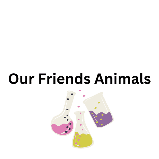 Our Friends Animals